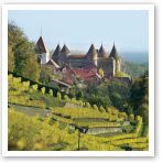 Fondation du Château de Grandson