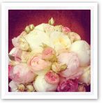 Rieder Fleurs