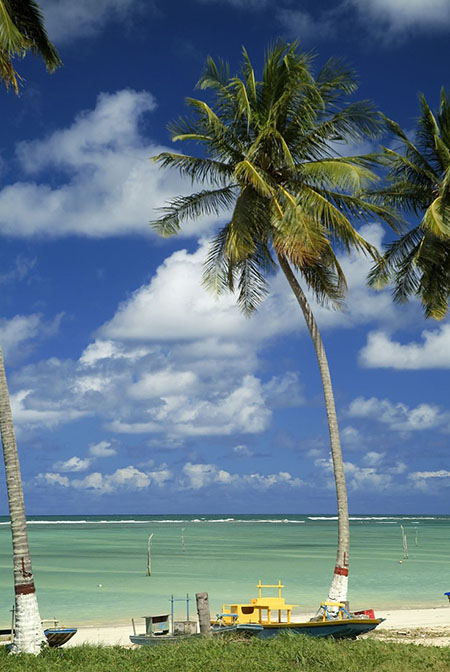 plage brésil