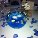 Vases ronds en verre 