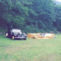Nous avons fait la fête sous un couvert au milieu de la forêt. Notre décoration champêtre à plus à tout le monde. Nous avons des retours géniaux.