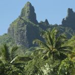 2e-08moorea00494.jpg