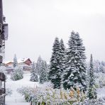 dsc00033.jpg