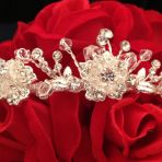 Ma couronne