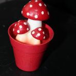 Bougie champignon
36x 
Achetés 3.- pces, y sont neufs et emballes sous plastique