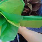 dépliage d'un pompom