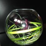 vase 20cm
