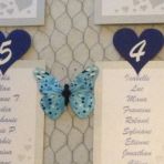 Papillon bleu n°3